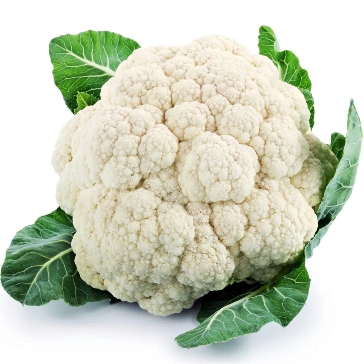 Cauliflower (head)