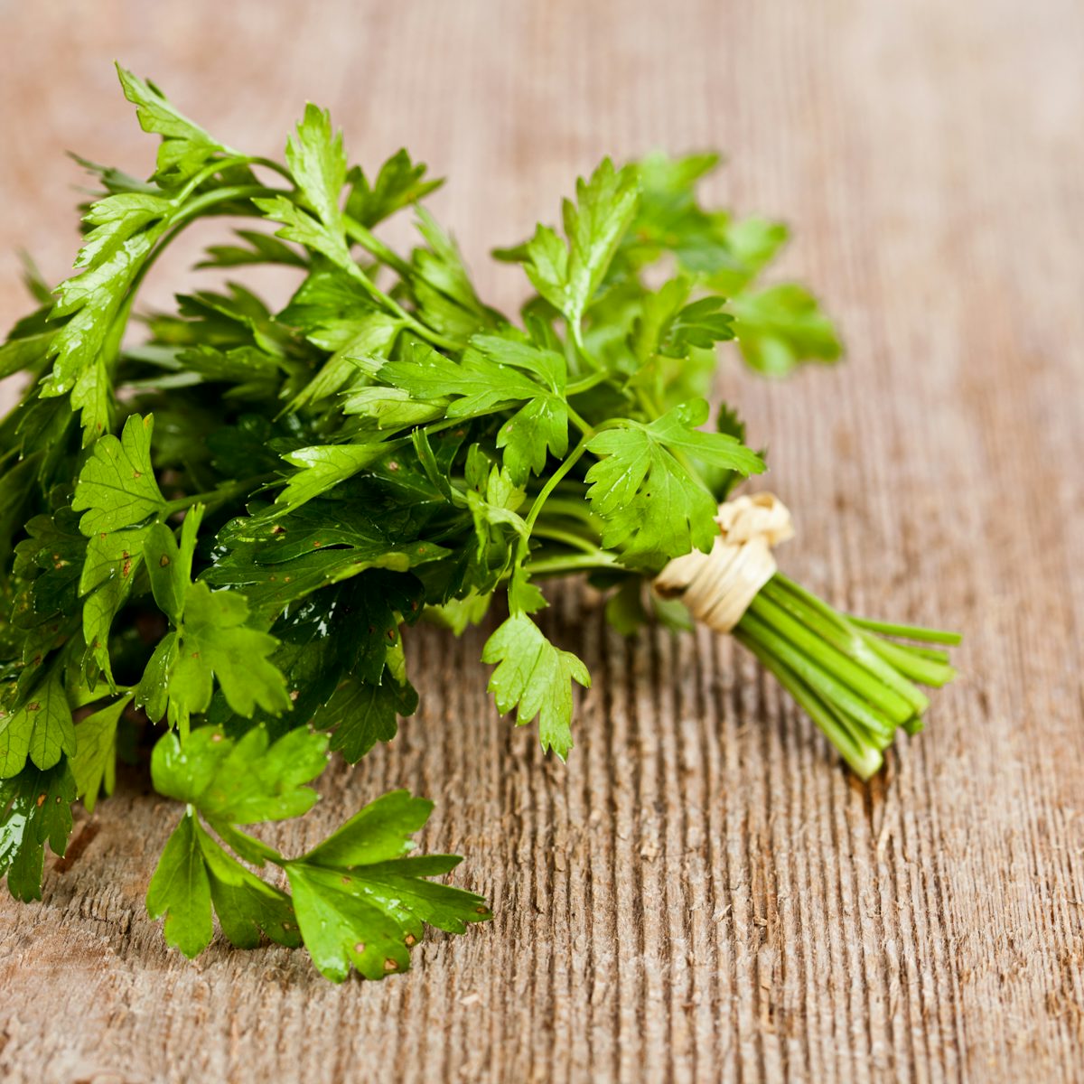 Bunch of fresh parsley