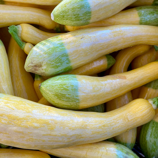 Yellow squash